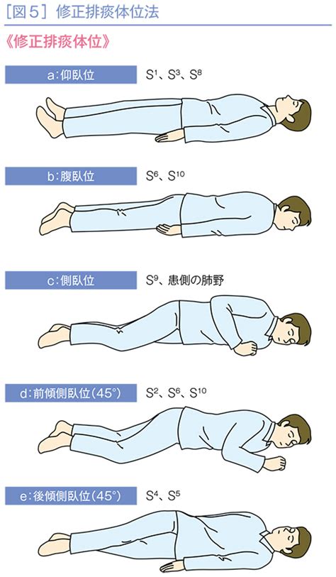 左側位|睡眠時の最も無難な体位は左側臥位 